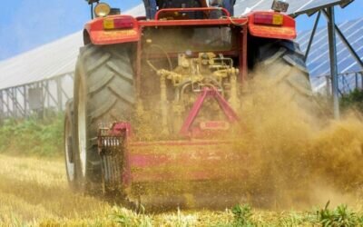 Agrofotowoltaika co to jest? Jak rozwija się fotowoltaika?